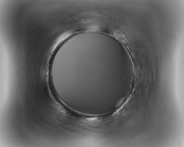 X0000086970054200704301306