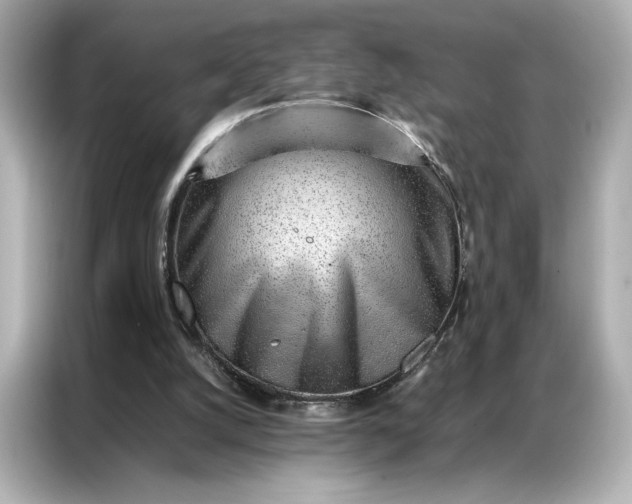 X0000086970056200704301306