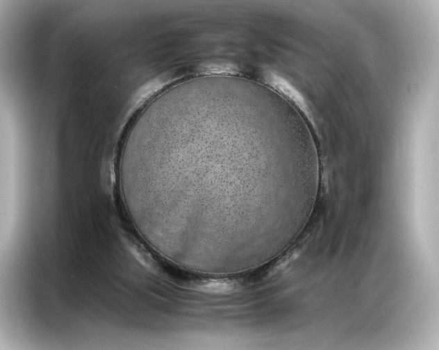 X0000086970059200704301306