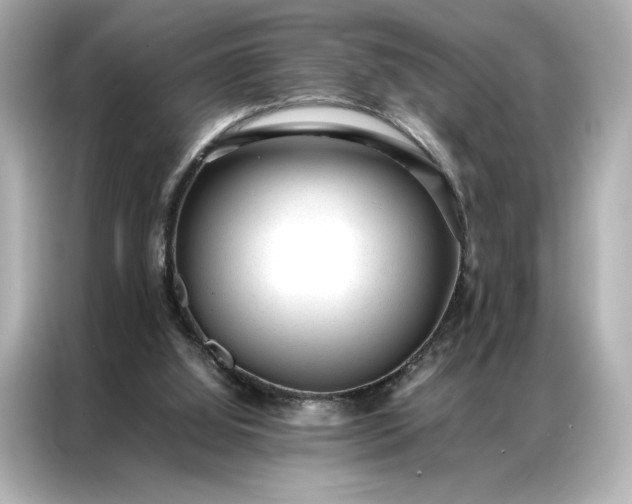 X0000086970060200704301306