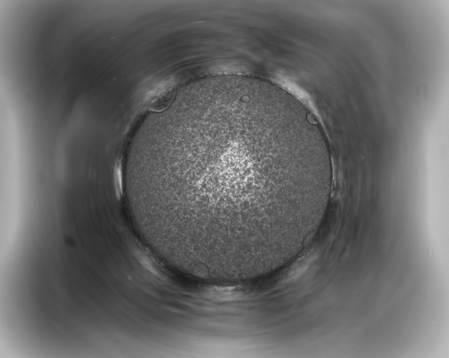 X0000086970061200704301306