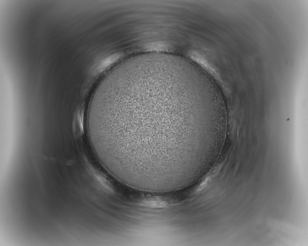 X0000086970062200704301306