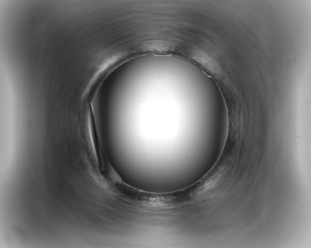 X0000086970064200704301306