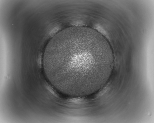 X0000086970065200704301306