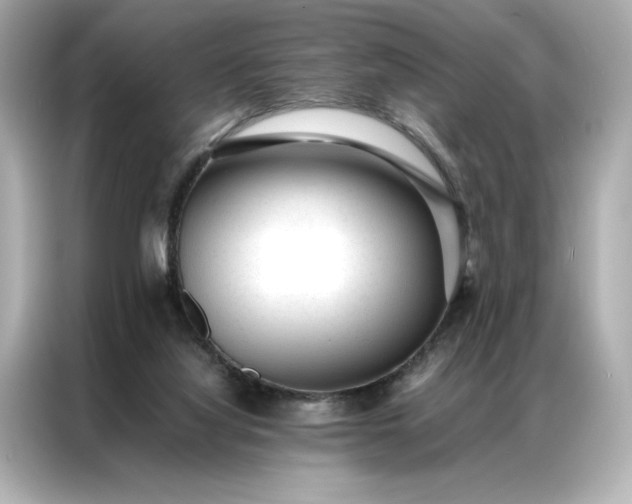 X0000086970068200704301306