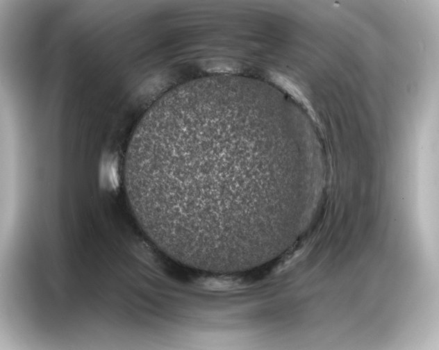 X0000086970069200704301306