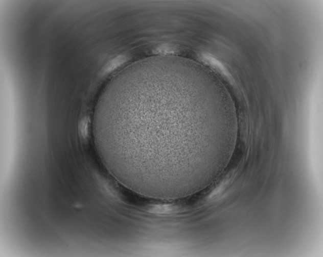 X0000086970071200704301306