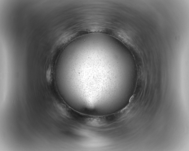 X0000086970074200704301306