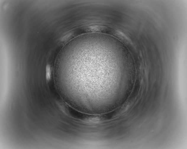 X0000086970075200704301306