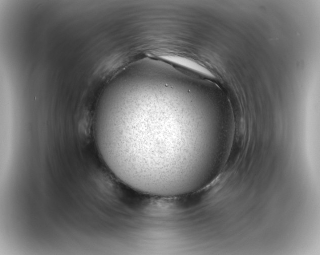 X0000086970078200704301306