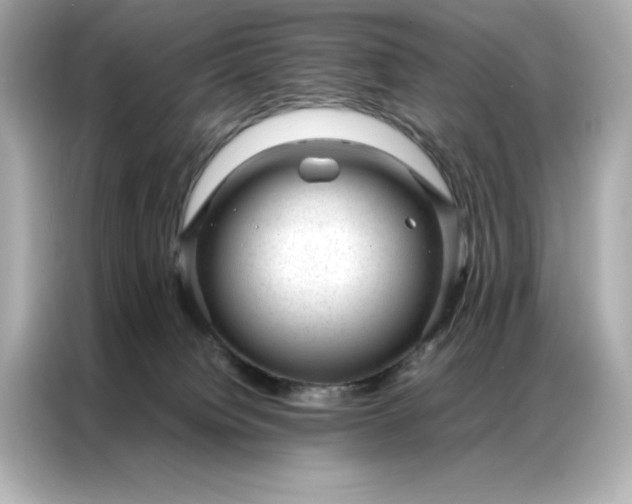 X0000086970084200704301306