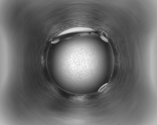 X0000086970086200704301306