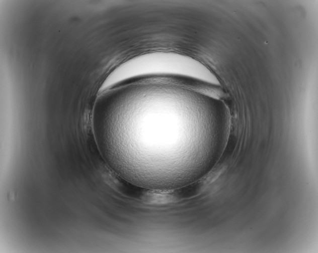 X0000086970093200704301306