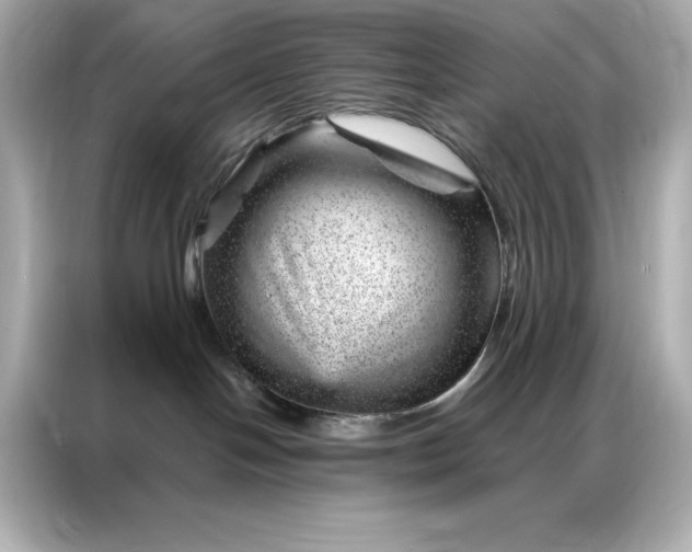 X0000086970094200704301306