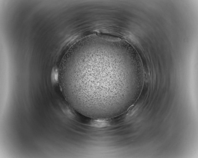 X0000086970095200704301306