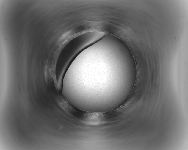 X0000086970096200704301306