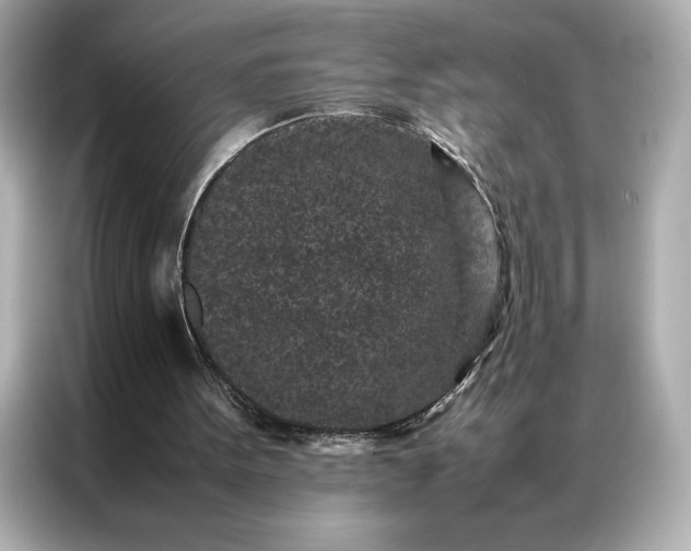 X0000086970099200704301305