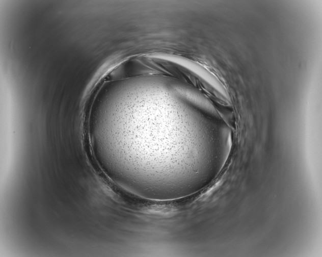 X0000086970101200704301305