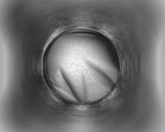 X0000086970102200704301305