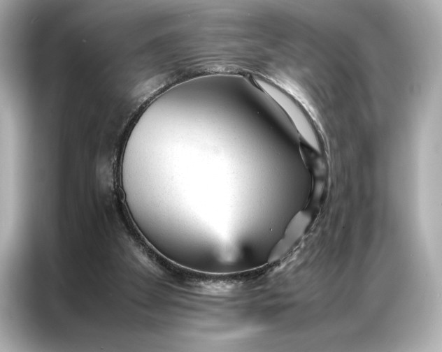 X0000086970105200704301305