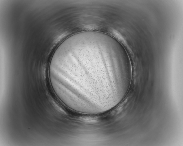 X0000086970106200704301305