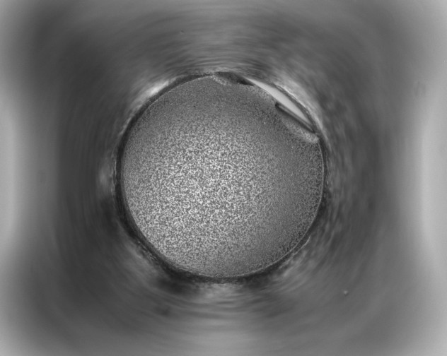 X0000086970107200704301305