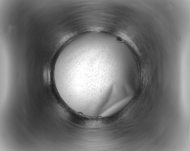 X0000086970110200704301305