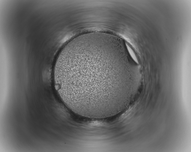 X0000086970111200704301305