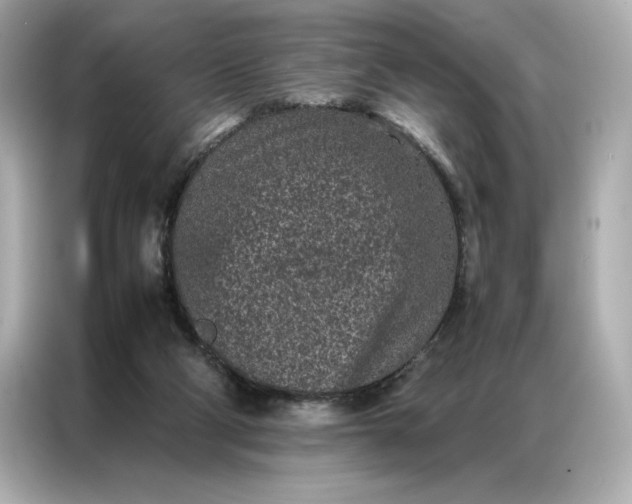 X0000086970114200704301305