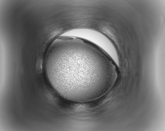 X0000086970115200704301305