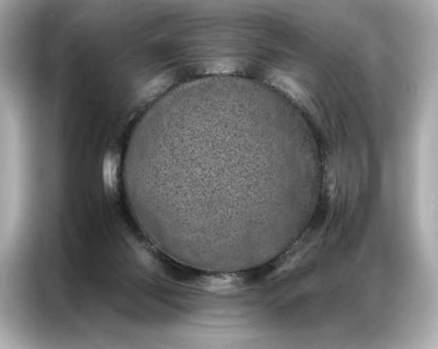 X0000086970118200704301305