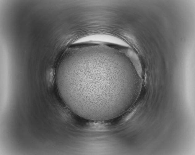 X0000086970121200704301305