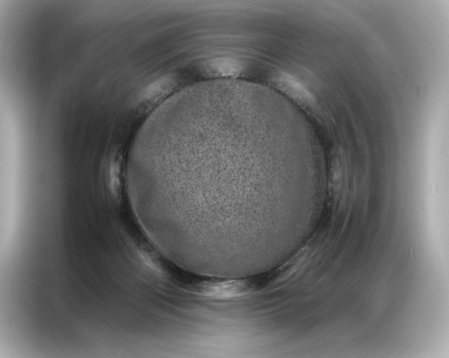 X0000086970122200704301305