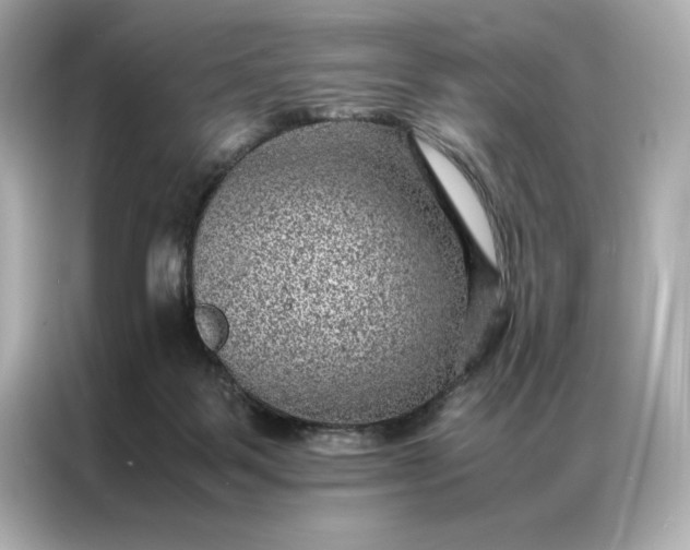 X0000086970123200704301305