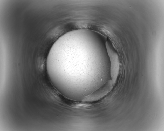 X0000086970125200704301305