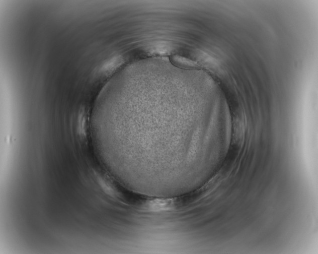 X0000086970126200704301305