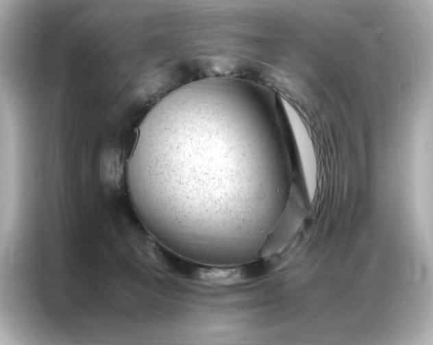 X0000086970129200704301305