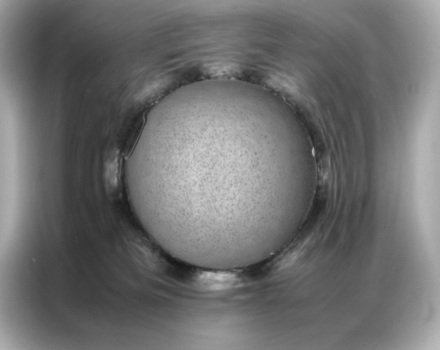 X0000086970133200704301305