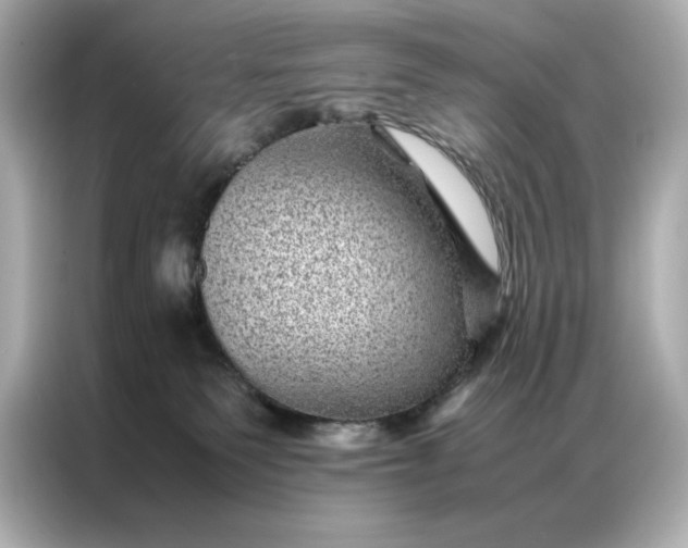 X0000086970135200704301305