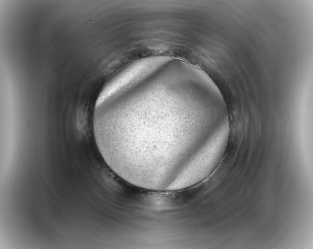 X0000086970136200704301305