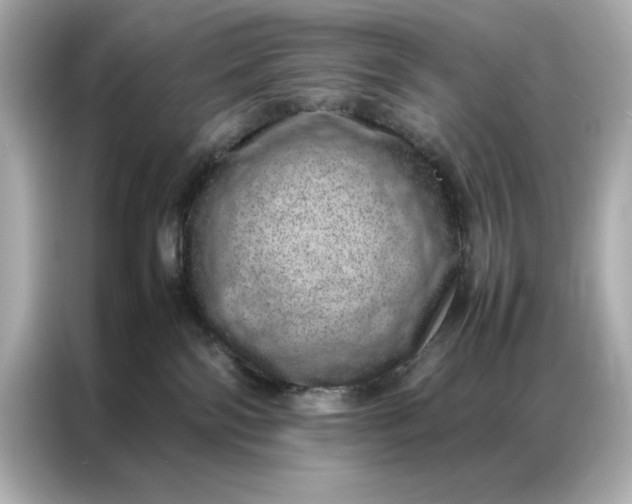 X0000086970138200704301305