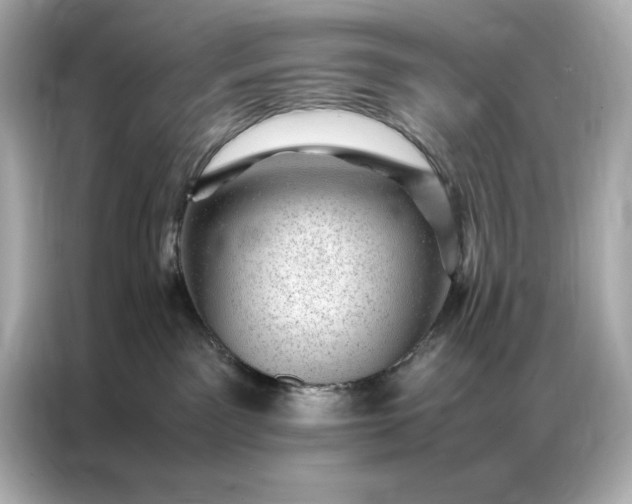 X0000086970141200704301305