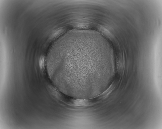 X0000086970142200704301305