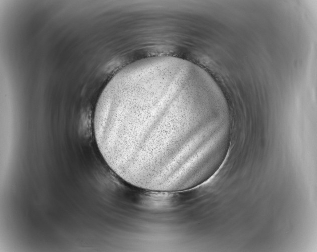 X0000086970144200704301305