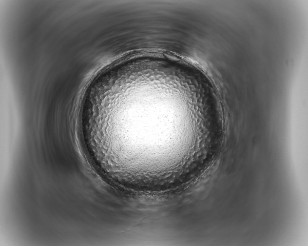 X0000086970145200704301304