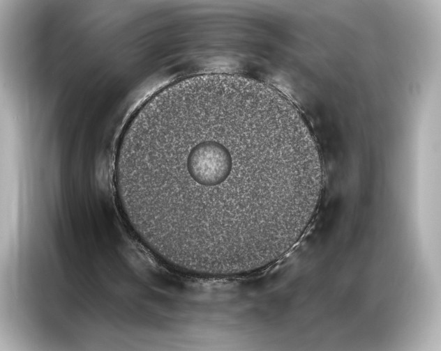 X0000086970146200704301304