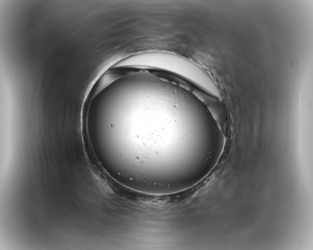 X0000086970148200704301304