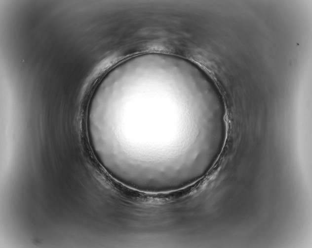 X0000086970149200704301304