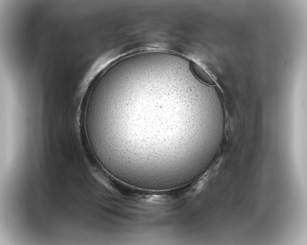 X0000086970151200704301304