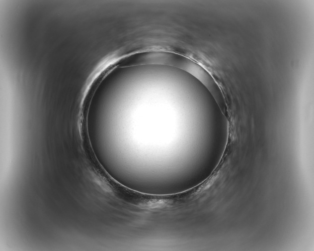 X0000086970152200704301304